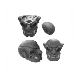 Skull Head Tattoo Ink Bekerhouder